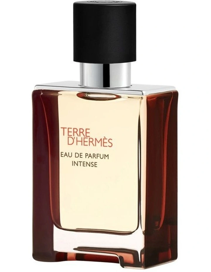 HERMES TERRE D'HERMES EAU DE TOILETTE 100ML