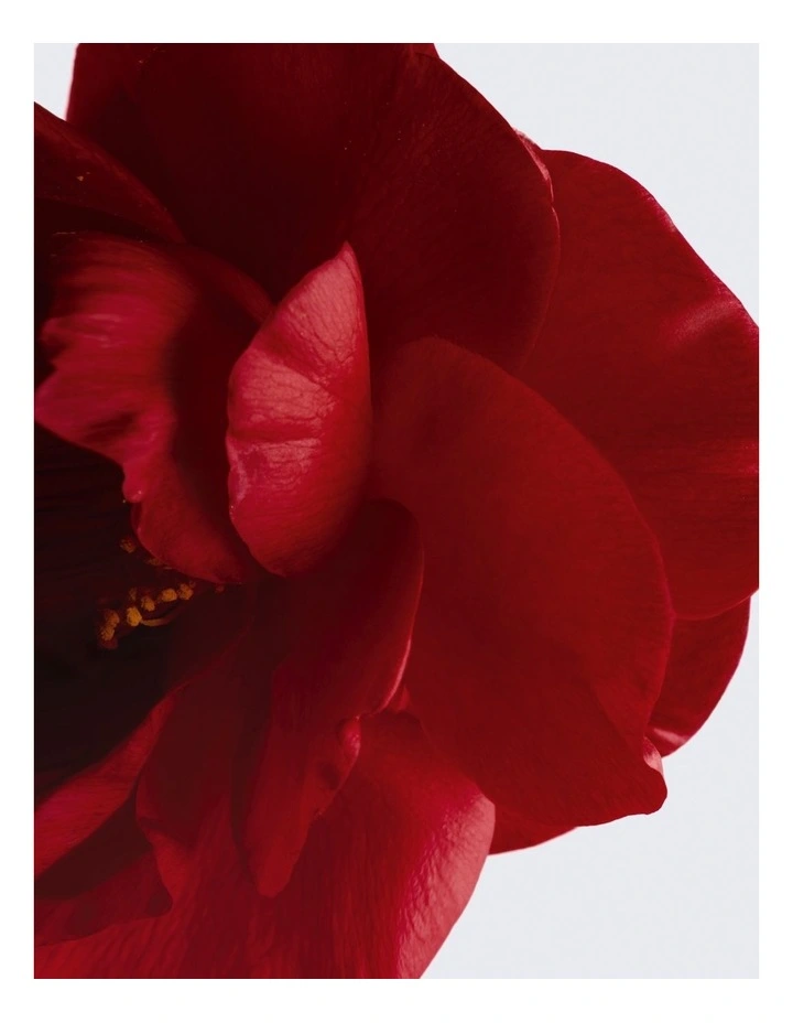 N°1 DE CHANEL L'EAU ROUGE 100ML