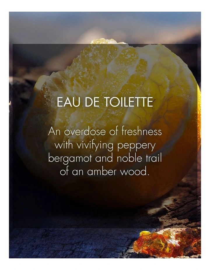 SAUVAGE EAU DE TOILETTE